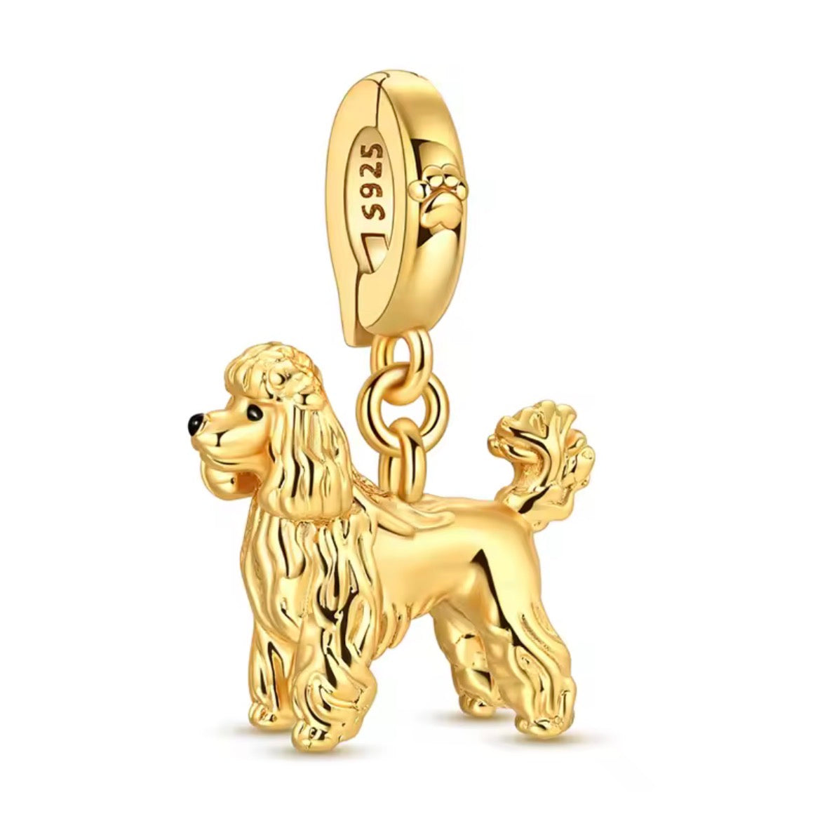 CHARM’S Dog (précommande)