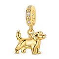 CHARM’S Joy (précommande)
